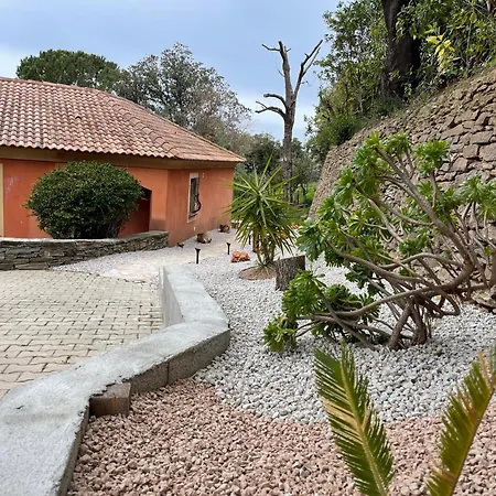 Bed & Breakfast Carpediem Corsica Adult Only 3*